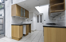 Hew Green kitchen extension leads
